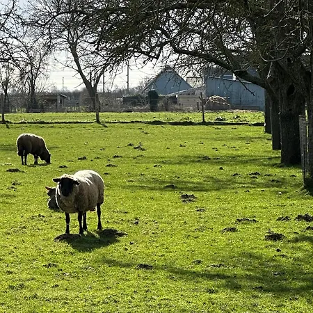 Un Mouton Dans L'eglise Casa de Férias *