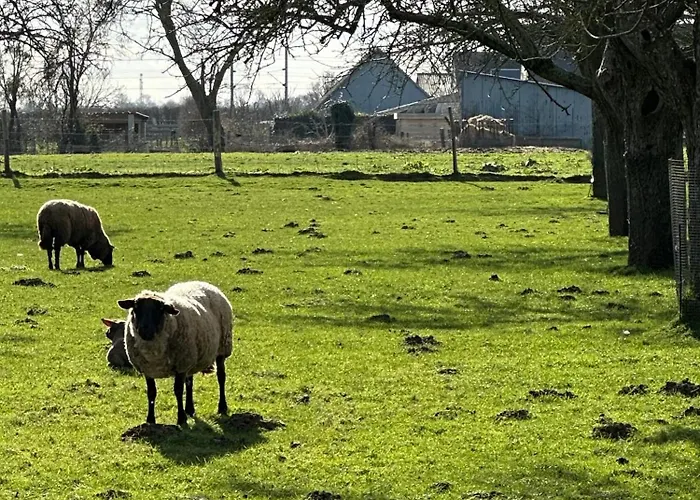 Un Mouton Dans L'eglise 度假居 *