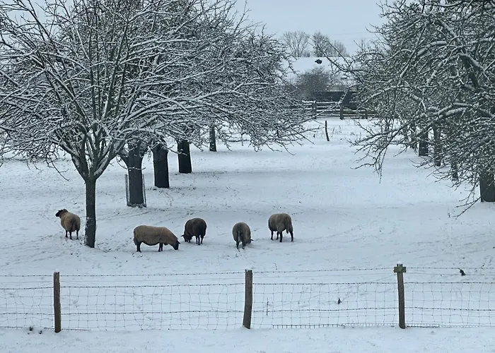 Un Mouton Dans L'eglise *